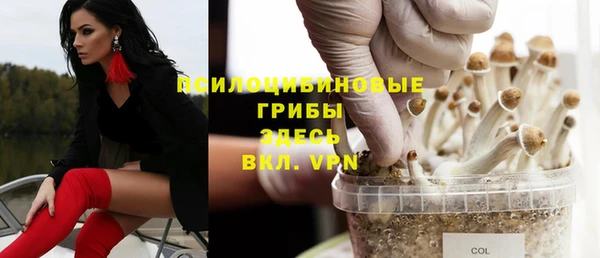 индика Сафоново