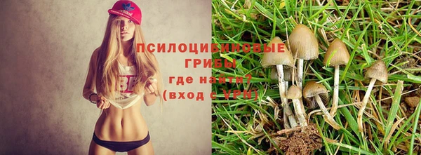 бошки Абдулино