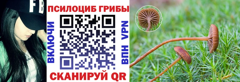 Галлюциногенные грибы GOLDEN TEACHER  маркетплейс состав  Чулым 